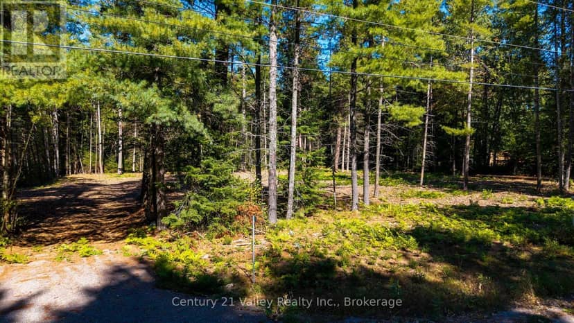536 Pine Street, Greater Madawaska, photo 8