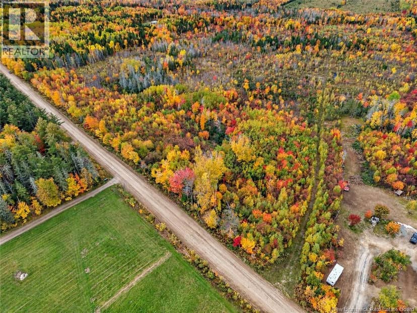 Lot 7 Tay Falls Road, Stanley, photo 7
