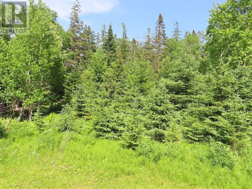 99-5 72 Naturer Dream P Boulevard, Roberta, photo 2