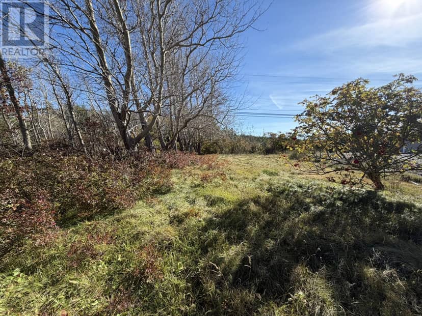 1812-1818 Conception Bay Highway, Conception Bay South, photo 5
