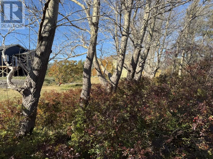 1812-1818 Conception Bay Highway — photo 9 of 12