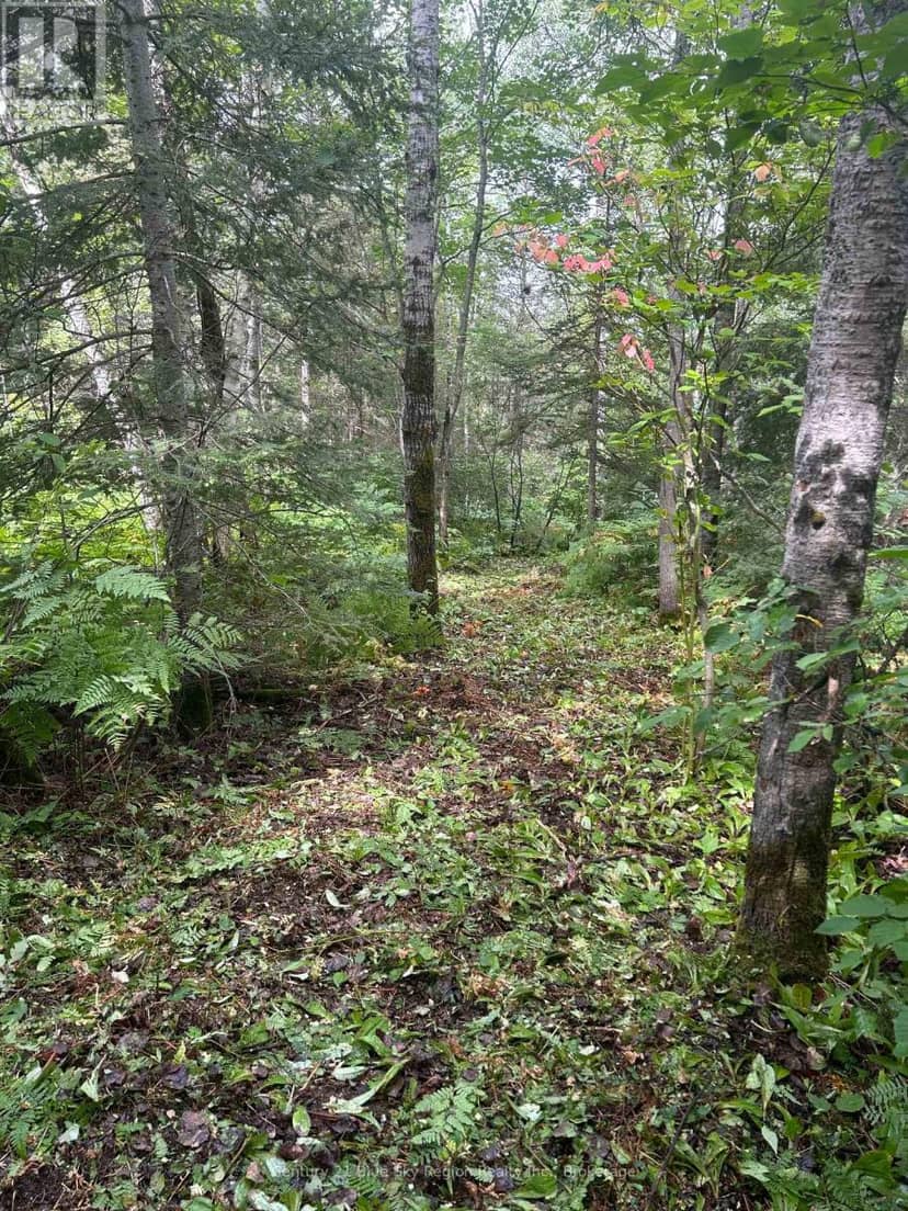 Part Lot 4 Highway 64 — photo 13 of 23