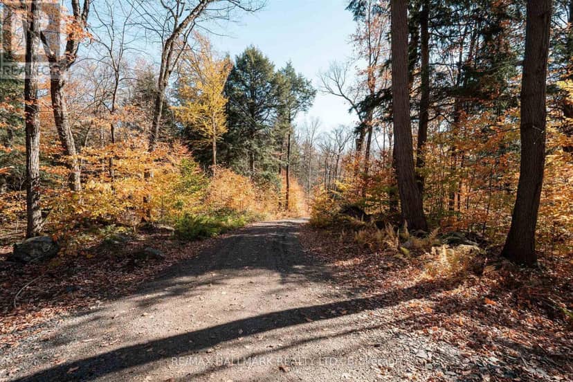 Unit 11 Lot 5 - 1310 Camel Lake Road — photo 10 of 15