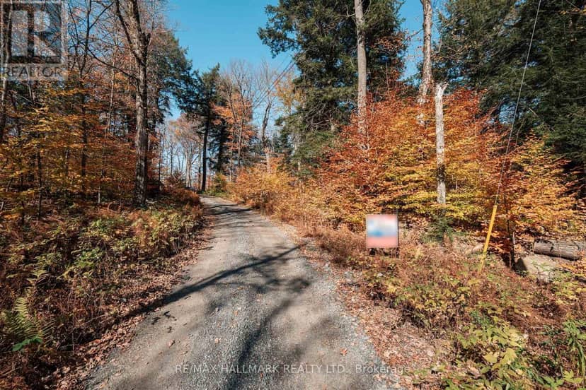 Unit 11 Lot 5 - 1310 Camel Lake Road, Muskoka Lakes, photo 7