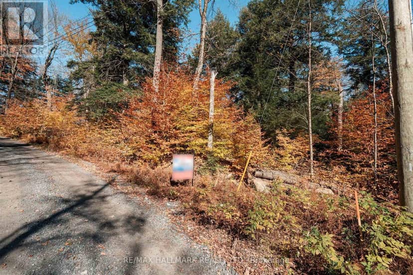 Unit 11 Lot 5 - 1310 Camel Lake Road, Muskoka Lakes, photo 8