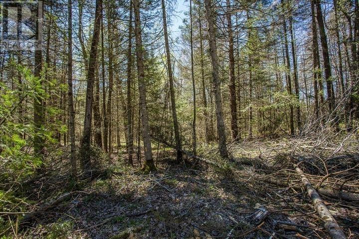 161 Concession Road 5, Plummer Additional Township — photo 18 of 23