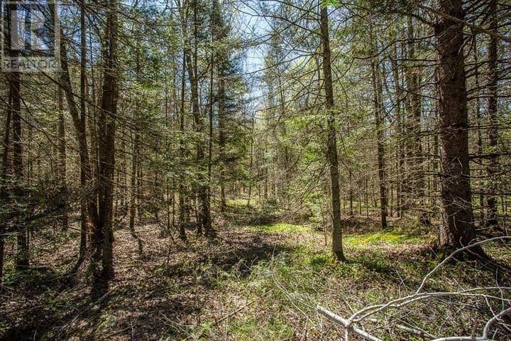161 Concession Road 5, Plummer Additional Township — photo 19 of 23