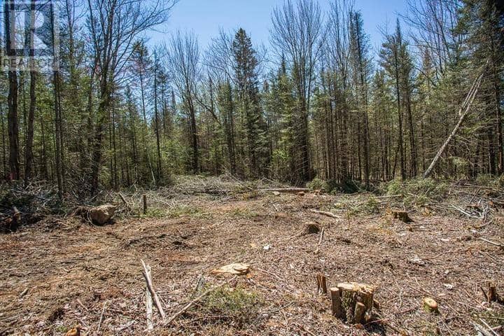 161 Concession Road 5, Plummer Additional Township — photo 17 of 23