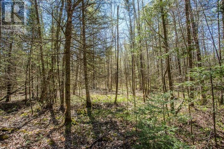 161 Concession Road 5, Plummer Additional Township — photo 20 of 23