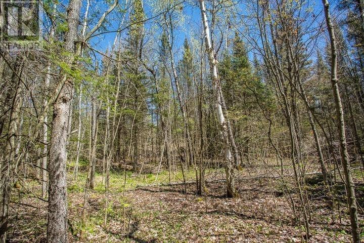 161 Concession Road 5, Plummer Additional Township — photo 23 of 23