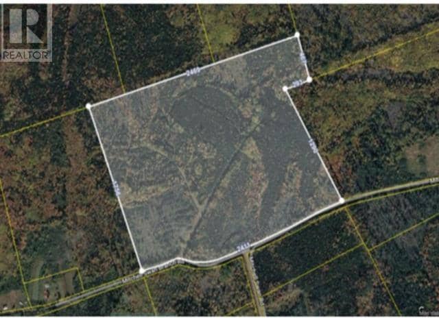 100 Acres Mitchell Swan Road — photo 7 of 7