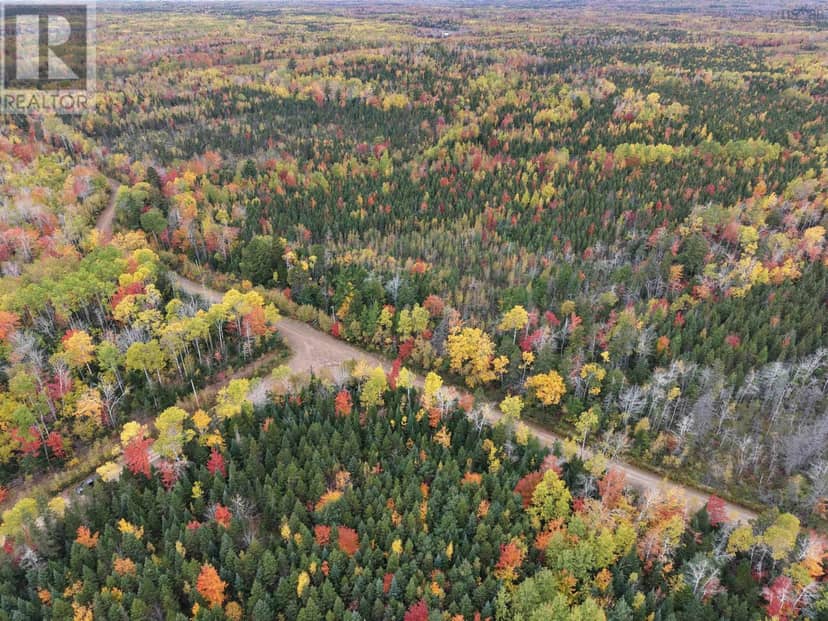 100 Acres Mitchell Swan Road — photo 3 of 7