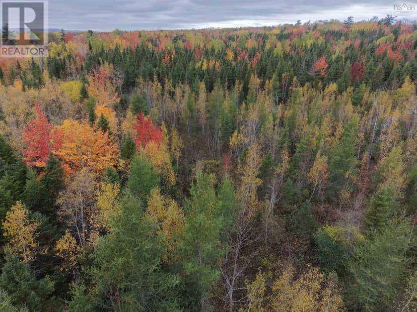 100 Acres Mitchell Swan Road — photo 5 of 7