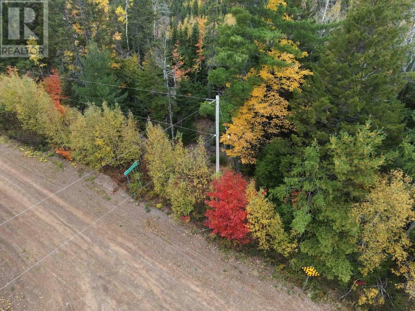 100 Acres Mitchell Swan Road — photo 6 of 7