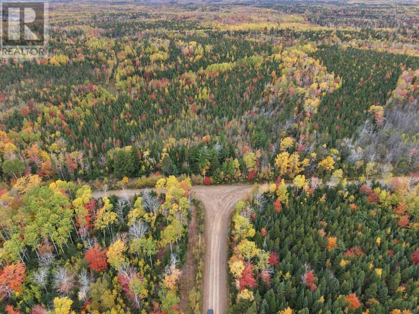 100 Acres Mitchell Swan Road — photo 1 of 7