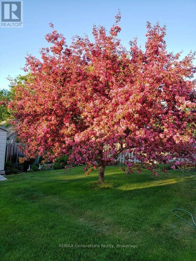 3 Cedar Walk — photo 35 of 40