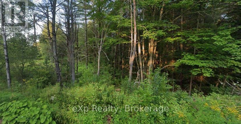 1003 Silver Lake Road, Gravenhurst, photo 8
