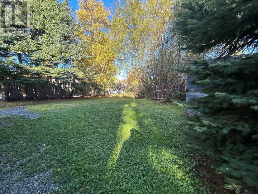 10 Whitmore Street, Grand Falls-Windsor, photo 6