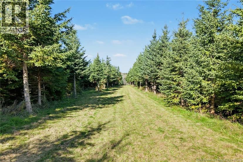 251 Cumberland Bay South RD, Cumberland Bay, photo 7