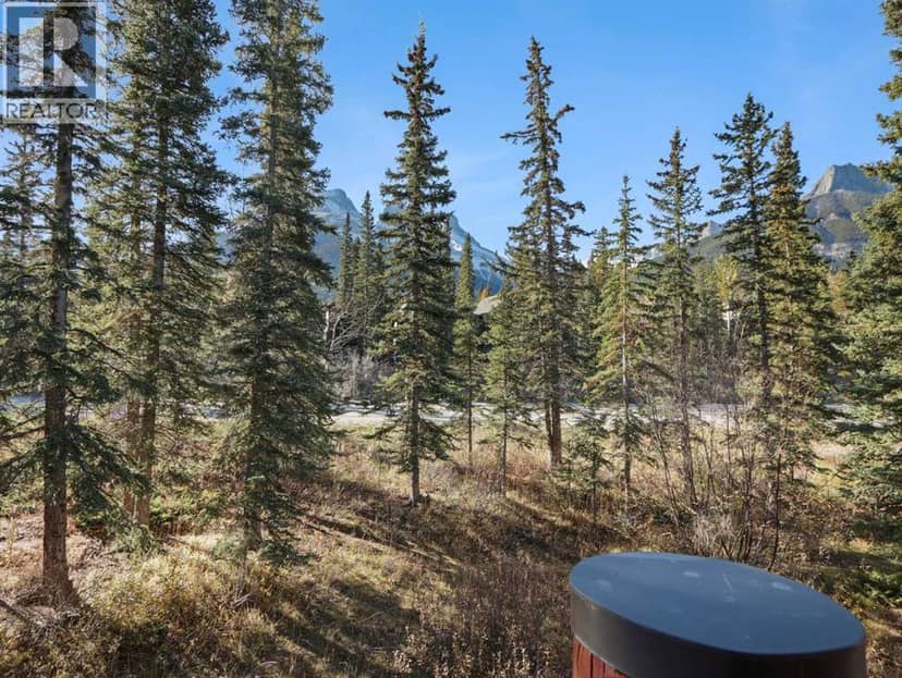 314, 150 Crossbow Place, Canmore, photo 7