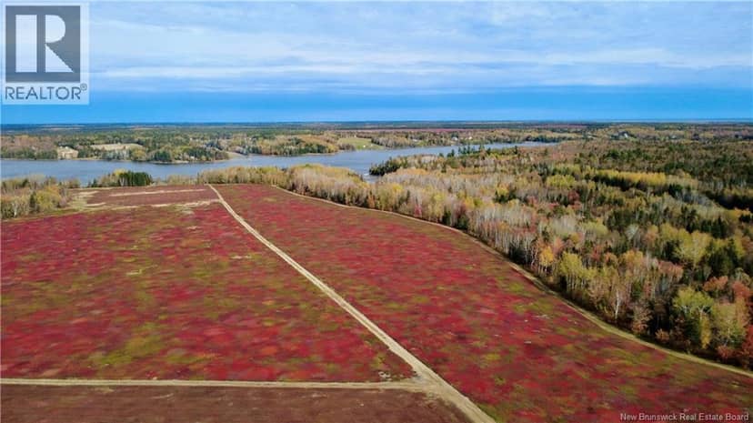 31.7 Acres Straight Brook Road, Tabusintac, photo 8