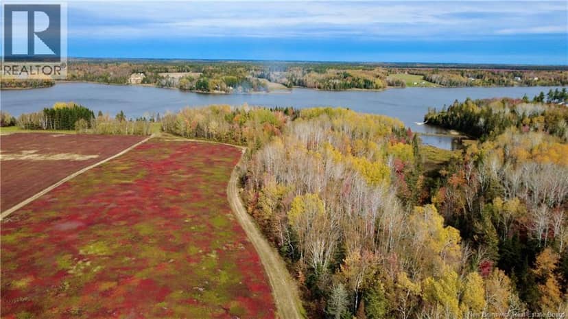 31.7 Acres Straight Brook Road — photo 9 of 40