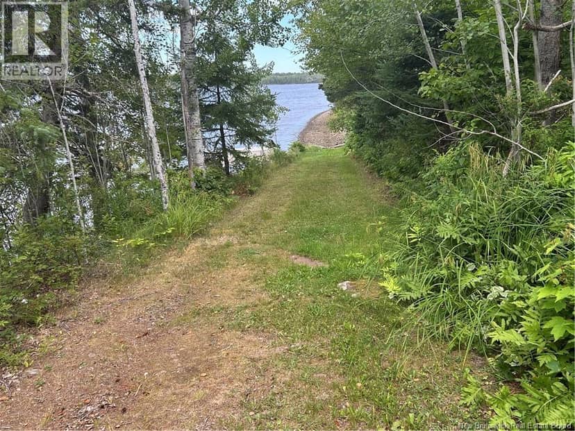 31.7 Acres Straight Brook Road, Tabusintac, photo 5