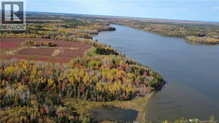 31.7 Acres Straight Brook Road — photo 15 of 40