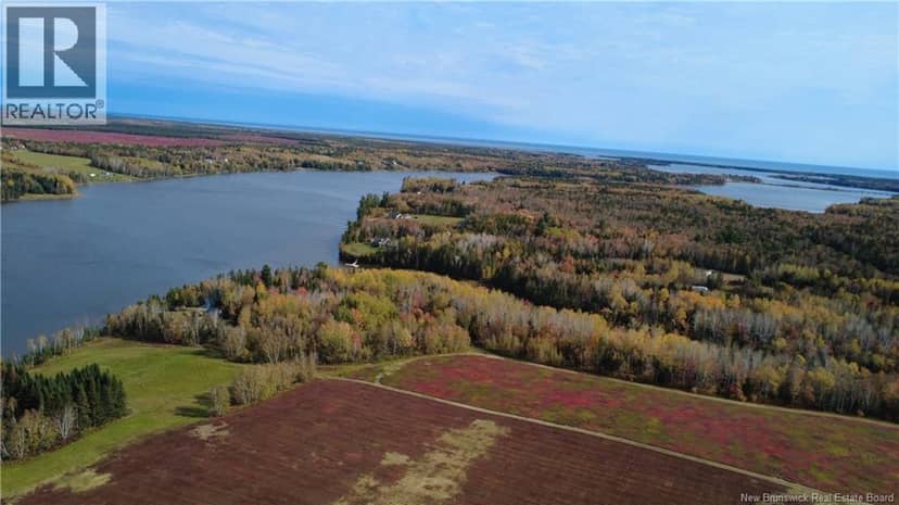 31.7 Acres Straight Brook Road — photo 19 of 40