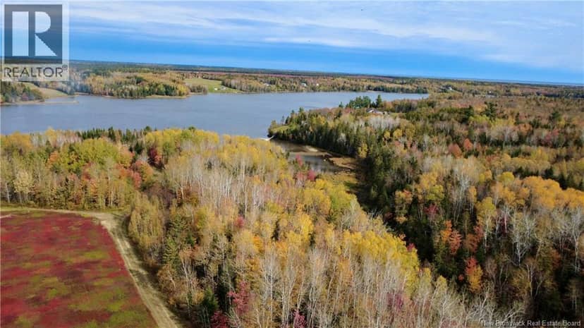 31.7 Acres Straight Brook Road, Tabusintac, photo 8