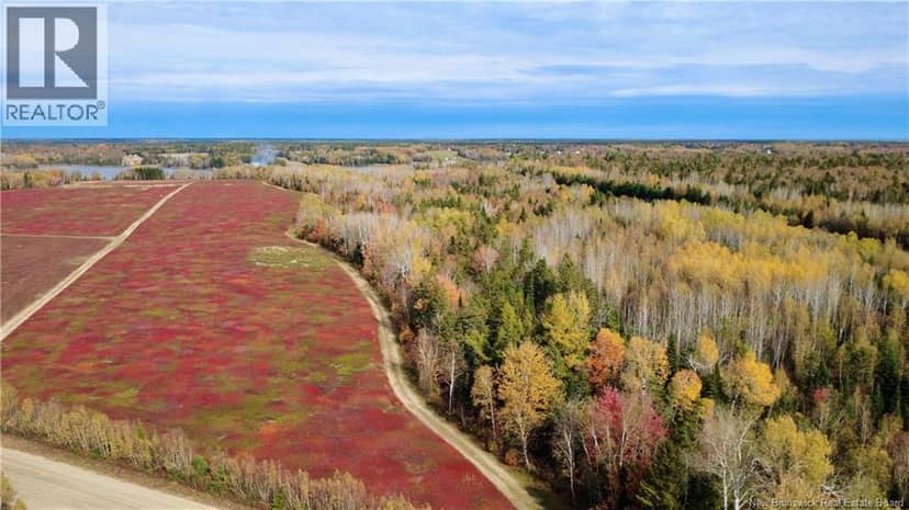 31.7 Acres Straight Brook Road, Tabusintac, photo 6