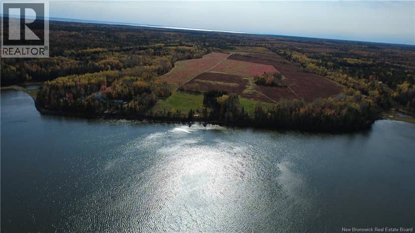 31.7 Acres Straight Brook Road — photo 23 of 40