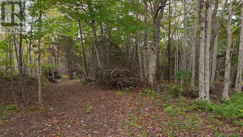 Old Route 5, Big Bras d'Or, Big Bras D'Or, photo 7