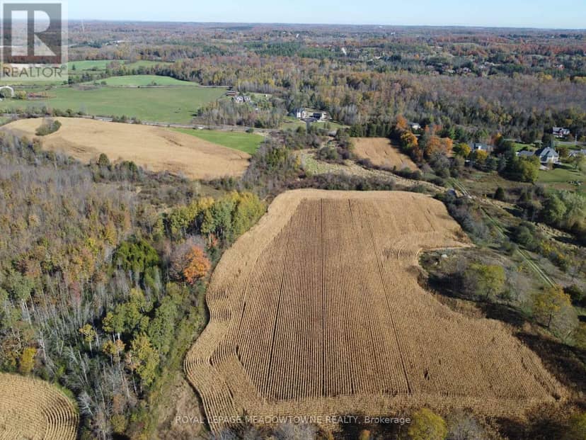 11080 First Line Nassagaweya, Milton, photo 6