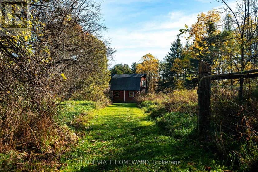595343 Blindline Road, Mono, photo 3