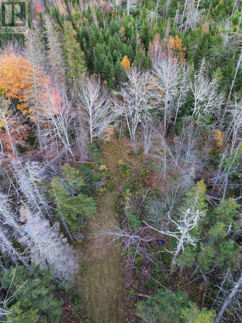 Land Highway 307 Wentworth NS — photo 12 of 17