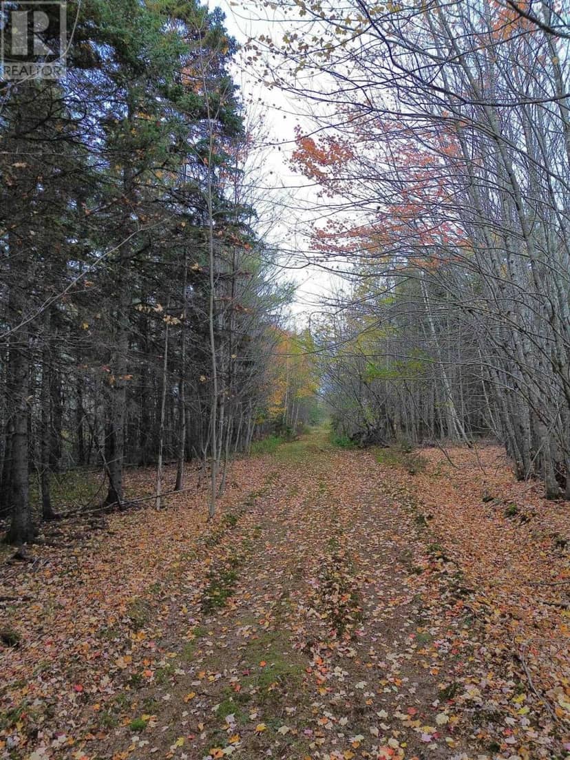 Land Highway 307 Wentworth NS — photo 11 of 17