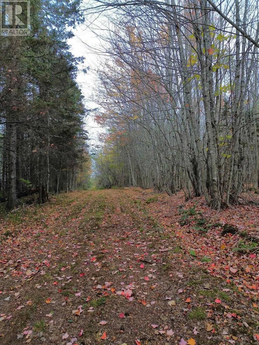 Land Highway 307 Wentworth NS — photo 10 of 17
