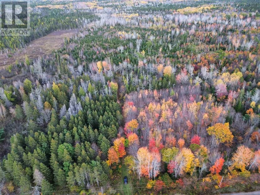 Land Highway 307 Wentworth NS — photo 5 of 17