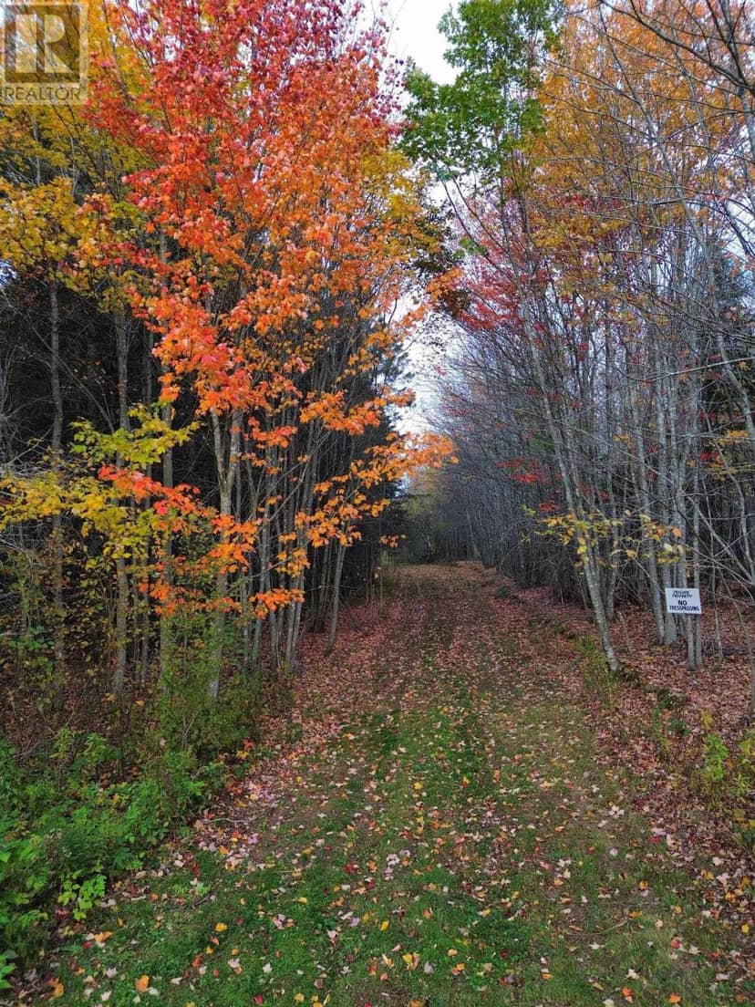 Land Highway 307 Wentworth NS — photo 9 of 17