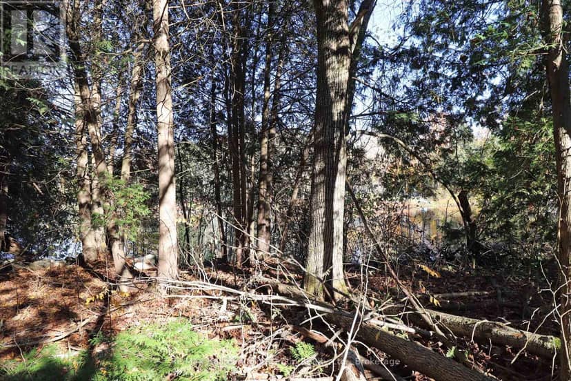 Lt 16 Sunsmile Lane, Tweed, photo 7