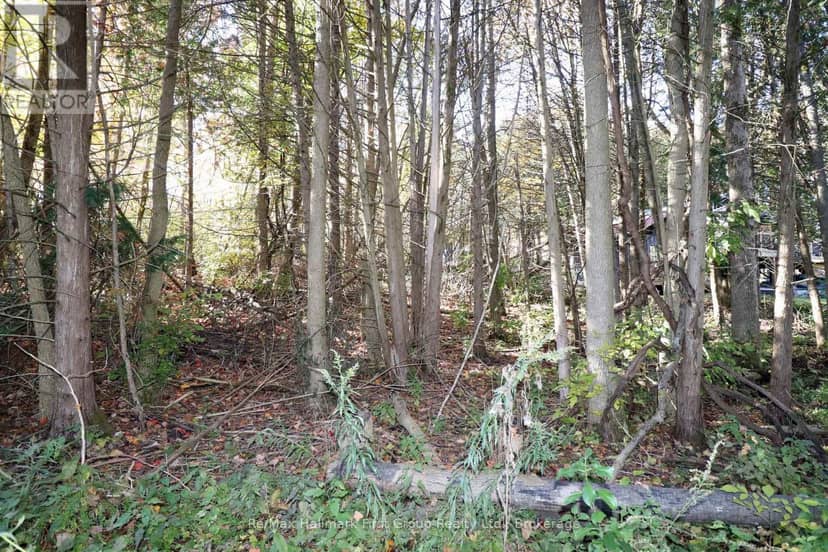 Lt 16 Sunsmile Lane, Tweed, photo 3