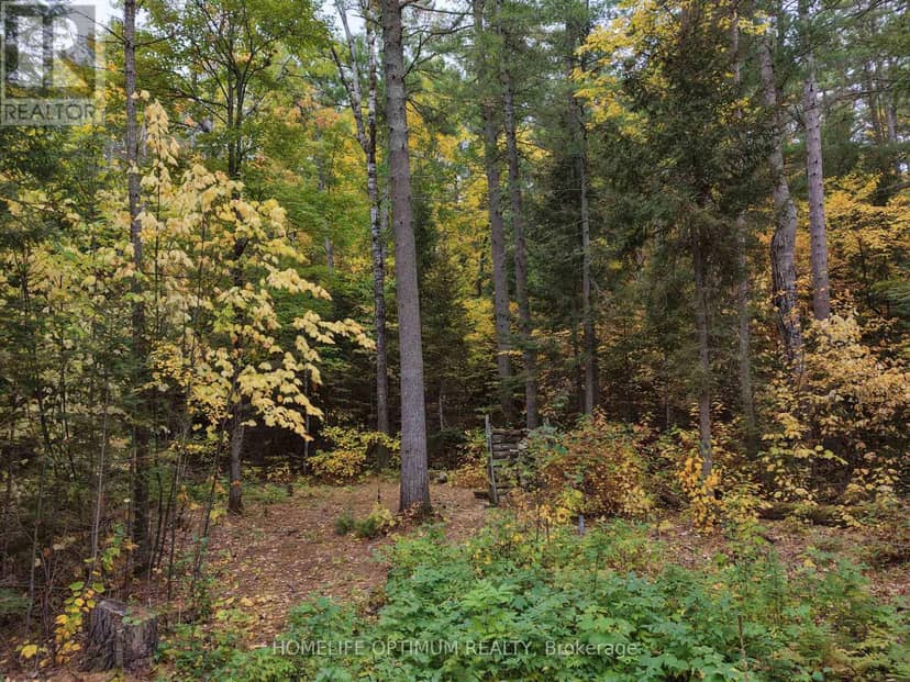 149 Buckshot Road, Head, Clara and Maria, photo 7