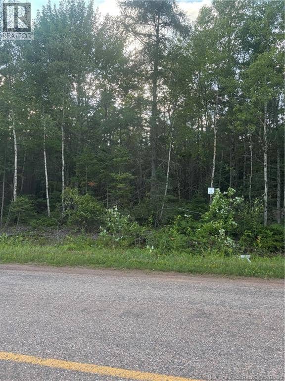 Lot 26-1 Upper Midland Road, Springfield, photo 5