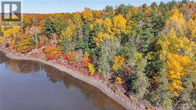 74 Barnes Point Road, Cambridge-Narrows, photo 4