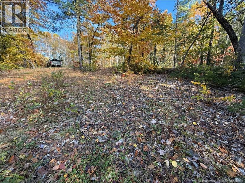 74 Barnes Point Road — photo 15 of 31