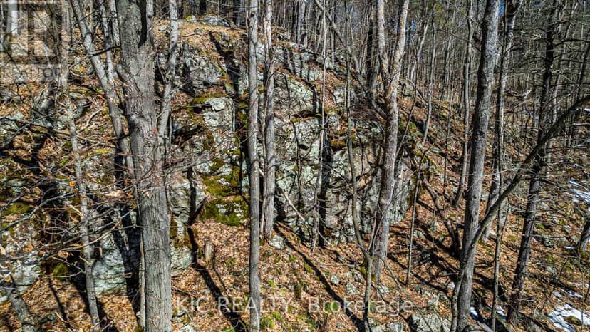 0 Hinchinbrooke Rd N Road — photo 17 of 23