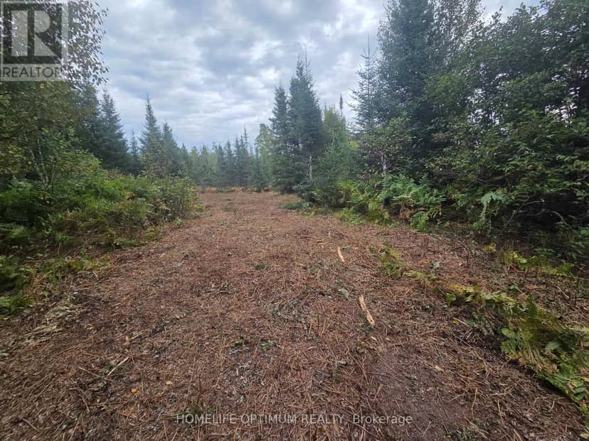 Pcl 8313 & Pcl 8314 Godfrey Township, Timmins, photo 7