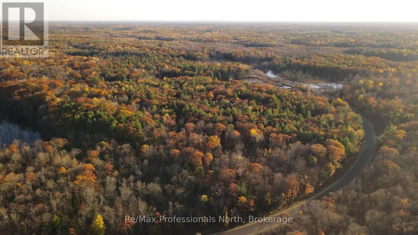 00 Muskoka Rd 38 Road — photo 11 of 14