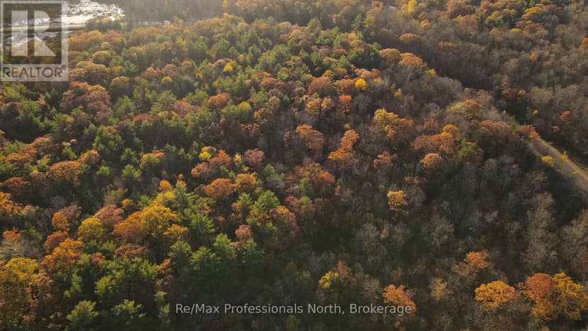 00 Muskoka Rd 38 Road — photo 12 of 14